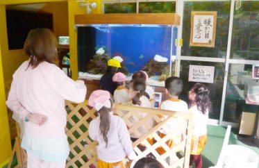 浦和めぐみ幼稚園様