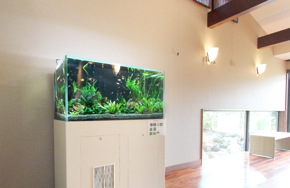 K旅館様 淡水魚水槽