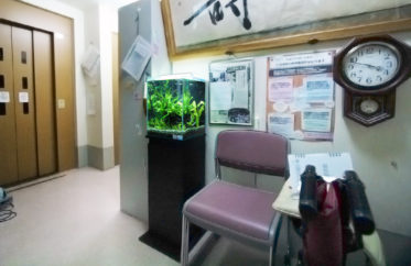 グループホームM様 淡水魚水槽