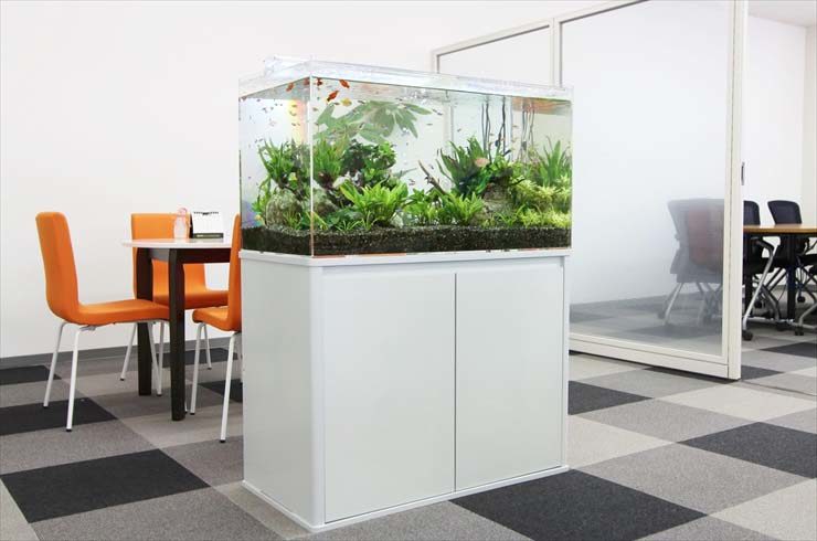 株式会社A様 淡水魚水槽