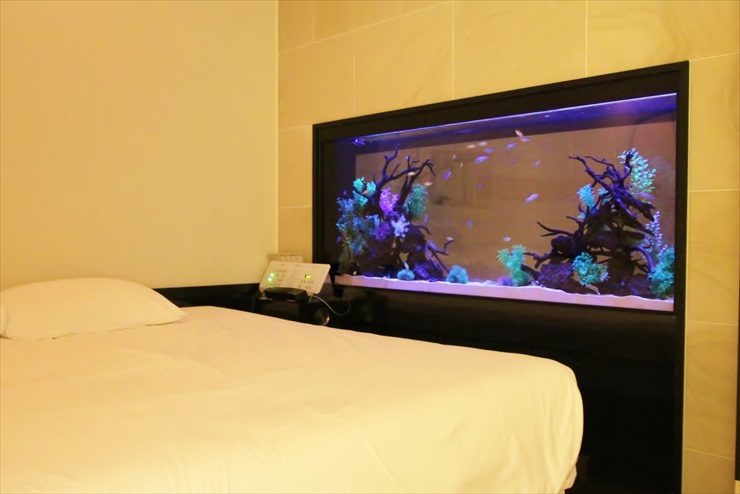 水槽 寝室
