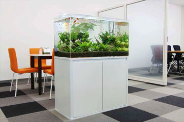 株式会社A様 淡水魚水槽
