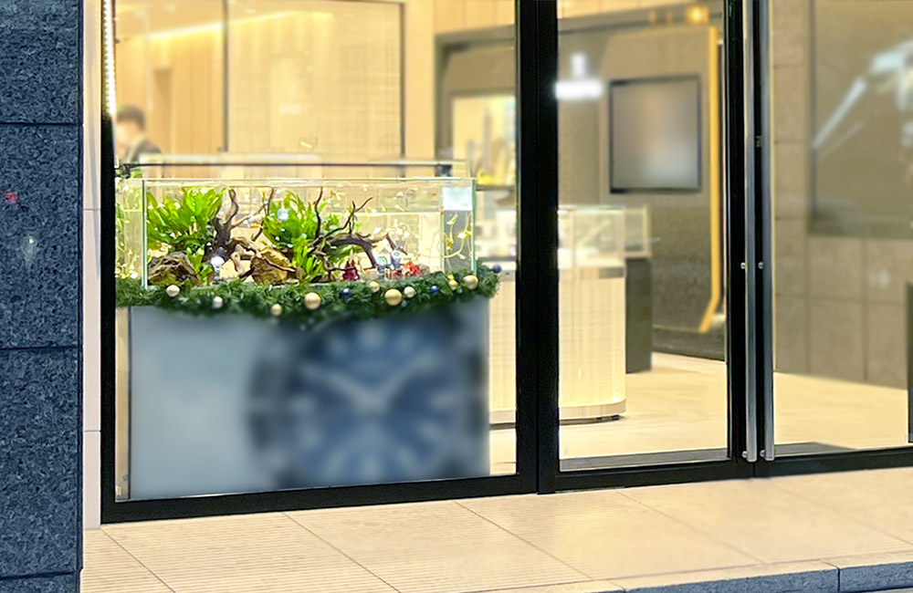 店舗 水槽レンタル