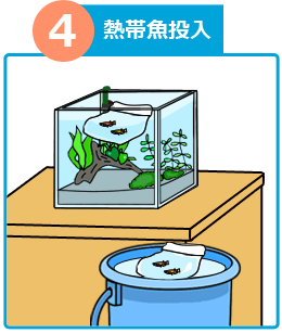 熱帯魚水槽 設置方法４